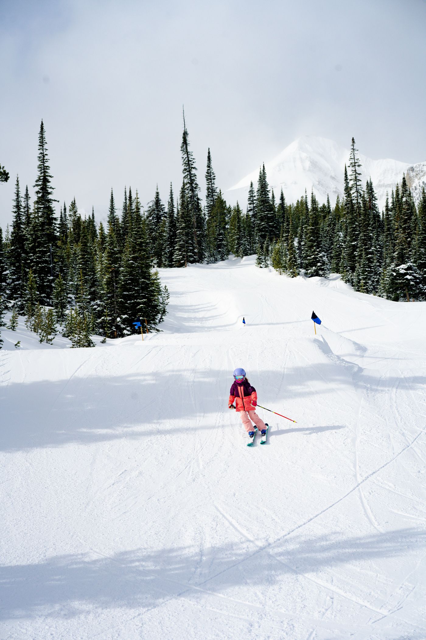 Big Sky December Park Session 2026 poster or cover