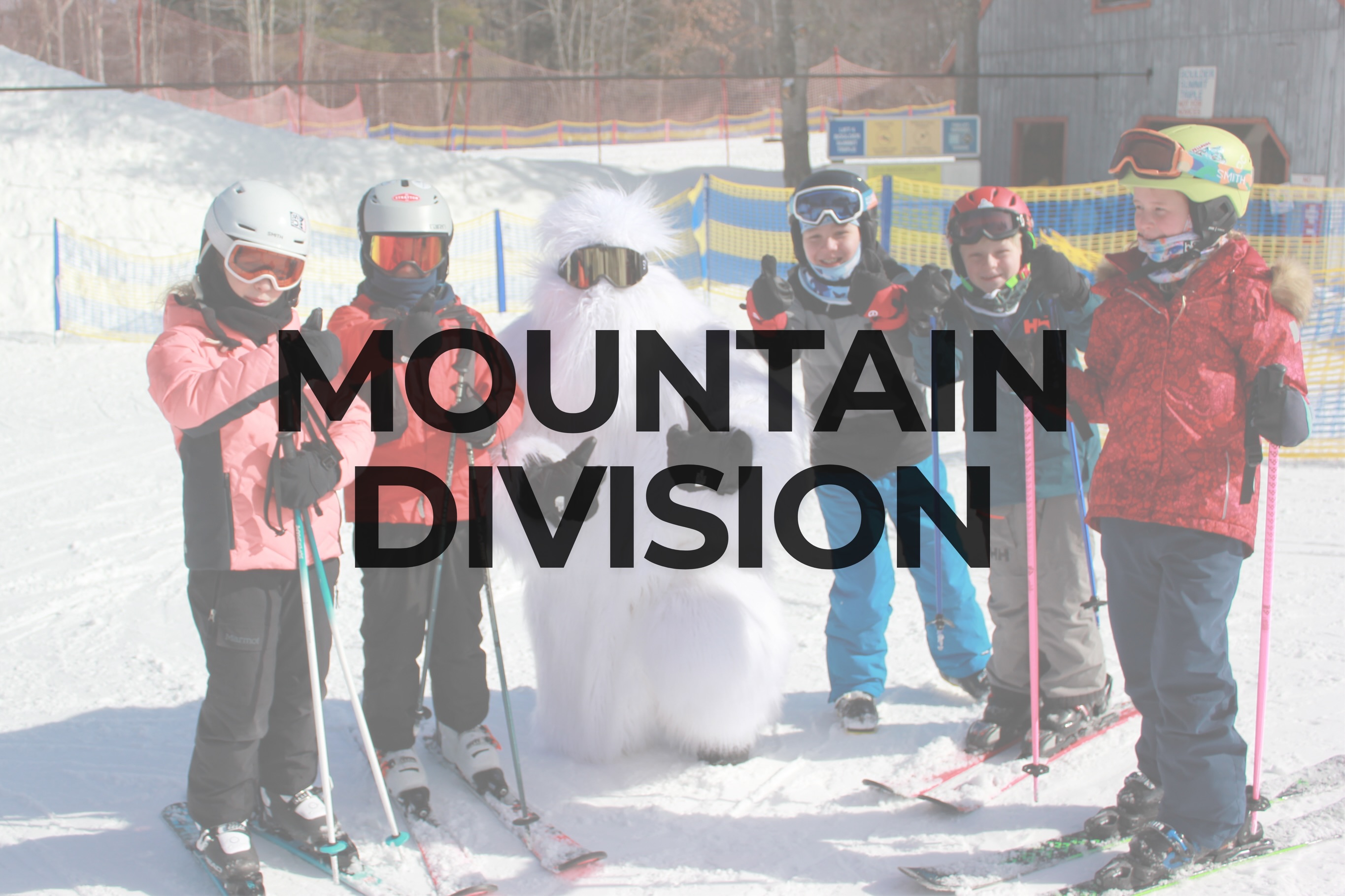 Mohawk Mountain Division 2027 poster or cover