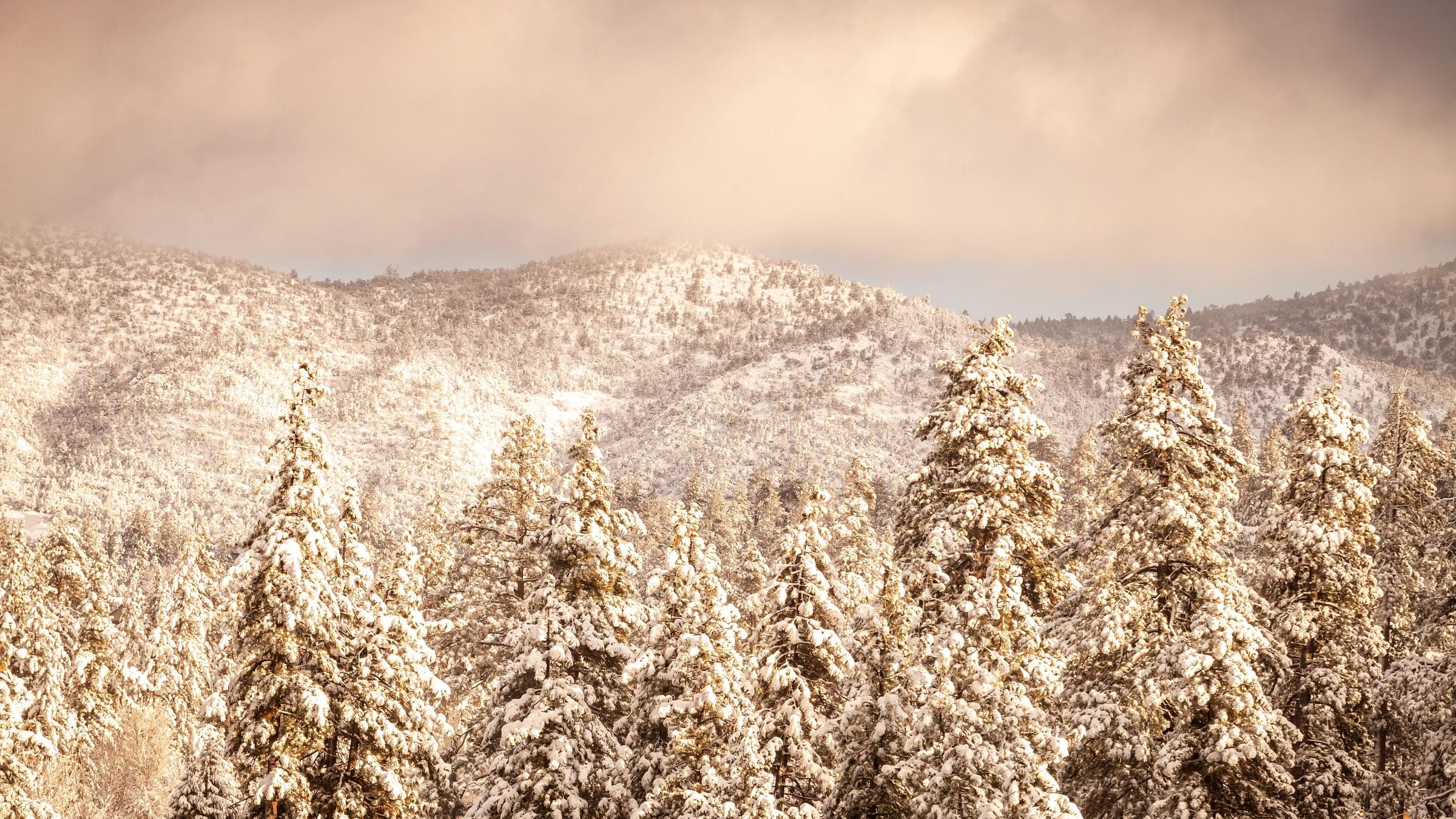 Big Bear Mountain Resort Thanksgiving Weekend 2026 poster or cover