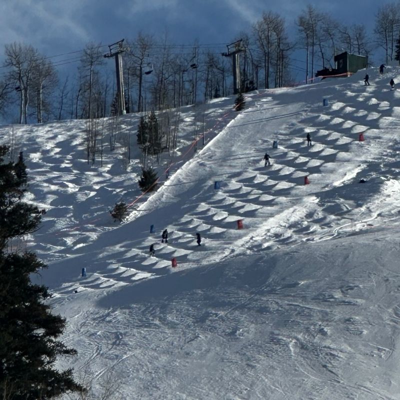 Steadman Clinic Moguls at Aspen Highlands 2027 poster or cover