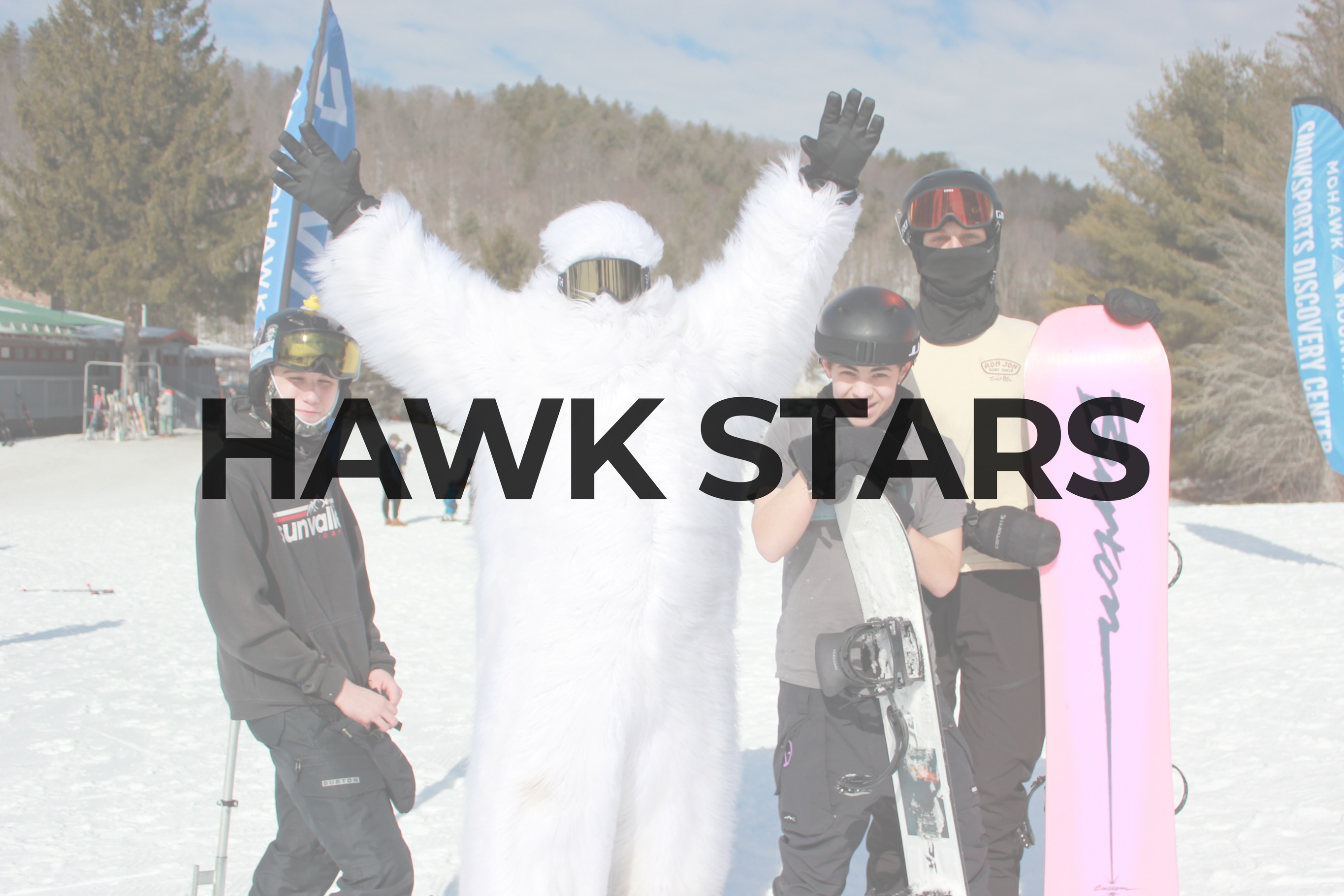 Mohawk Mountain Hawk Stars 2027 poster or cover