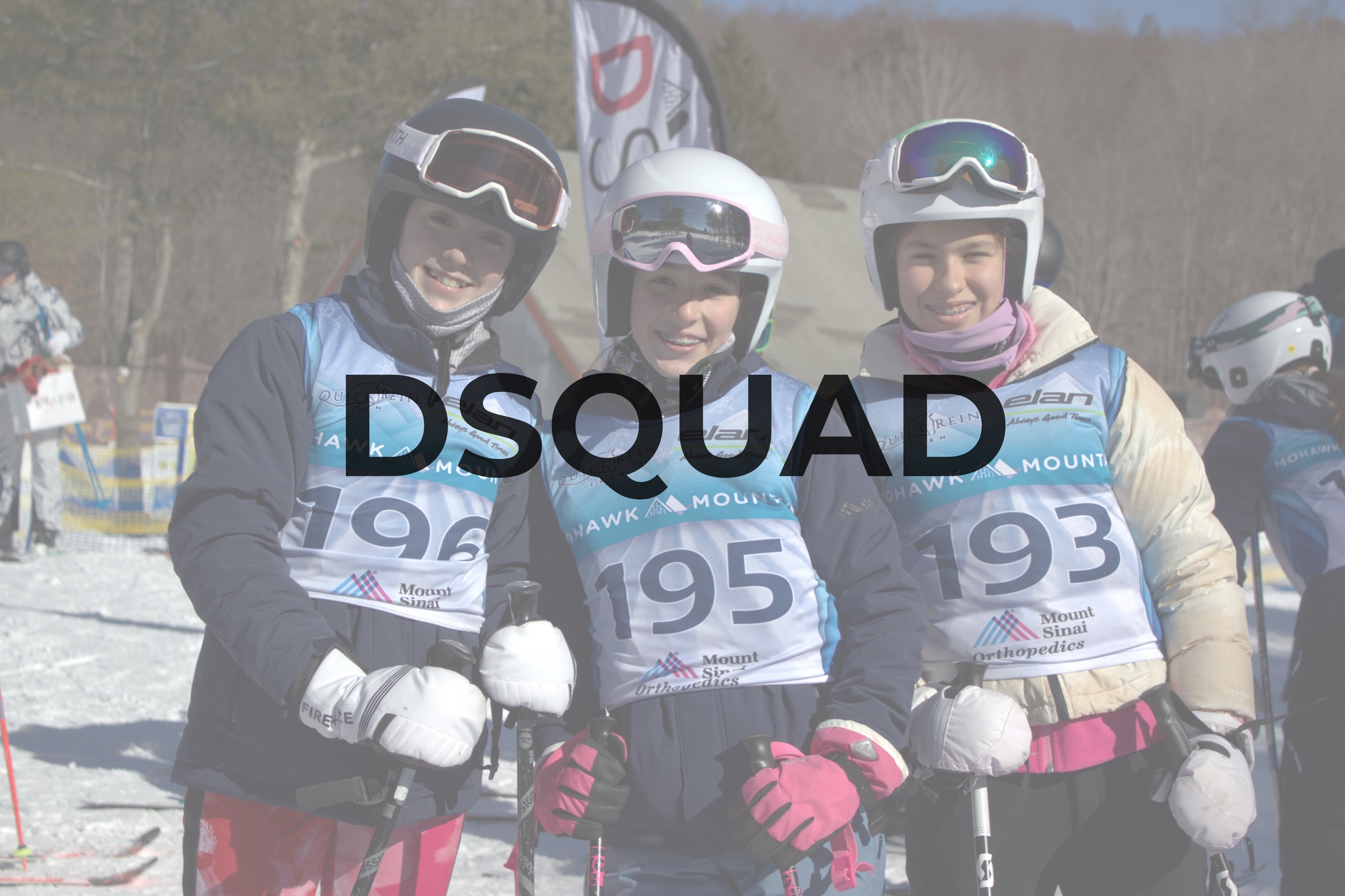 Mohawk Mountain D-Squad 2027 poster or cover