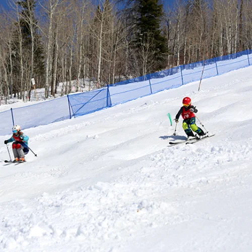 Winter Park DEVO Moguls 2027 poster or cover