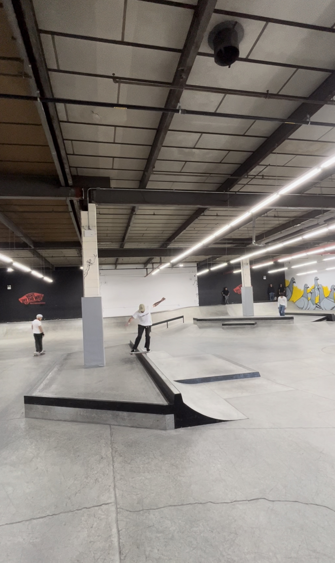 Vans Skate Space 198